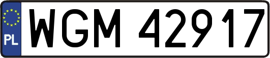 WGM42917