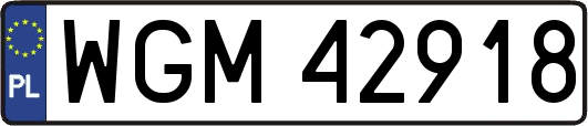 WGM42918