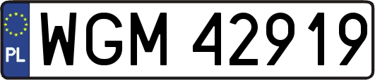 WGM42919