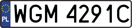 WGM4291C
