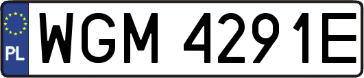 WGM4291E