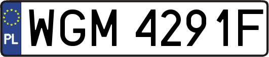 WGM4291F