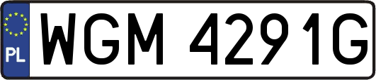 WGM4291G