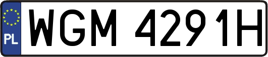 WGM4291H