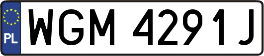 WGM4291J