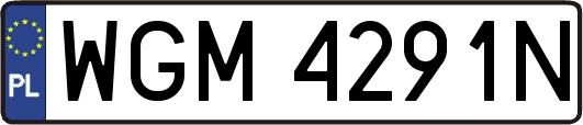 WGM4291N