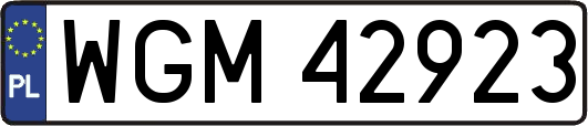 WGM42923