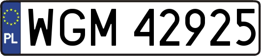WGM42925