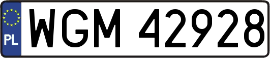 WGM42928
