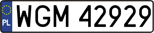 WGM42929
