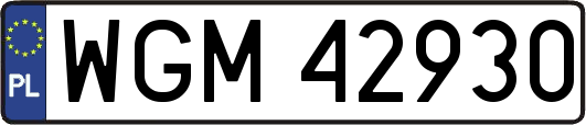 WGM42930