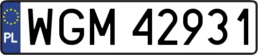 WGM42931