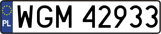 WGM42933