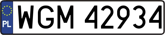 WGM42934