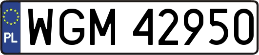 WGM42950