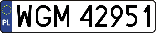 WGM42951