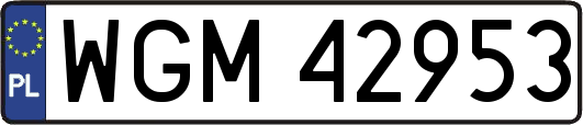 WGM42953