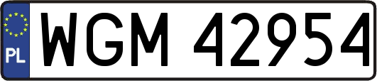 WGM42954