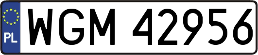 WGM42956