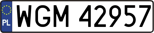 WGM42957