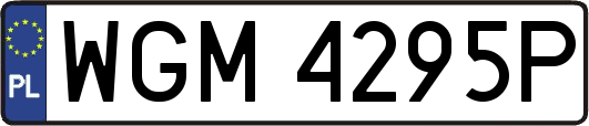 WGM4295P