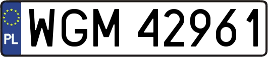 WGM42961