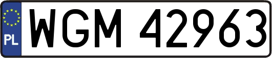 WGM42963