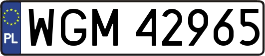 WGM42965