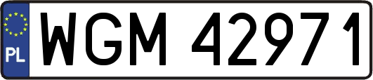 WGM42971