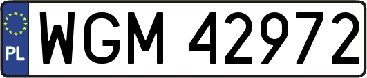 WGM42972