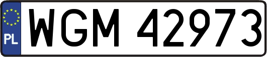 WGM42973