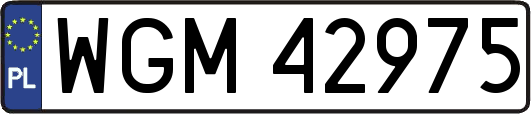WGM42975
