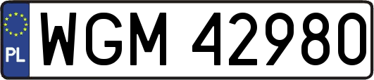 WGM42980