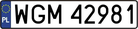 WGM42981