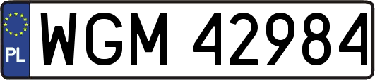 WGM42984
