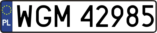 WGM42985