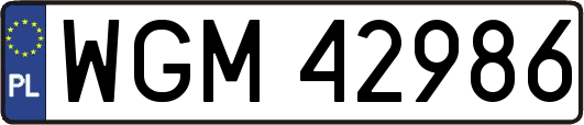 WGM42986