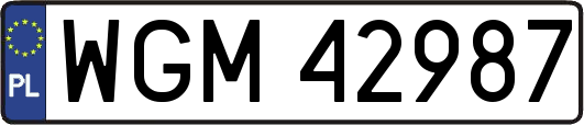 WGM42987