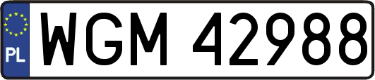 WGM42988