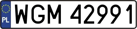 WGM42991