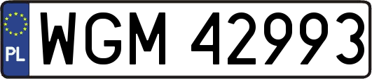 WGM42993