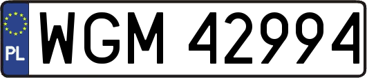 WGM42994
