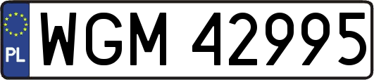 WGM42995