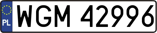 WGM42996