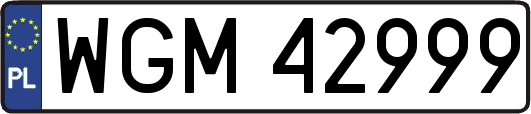 WGM42999