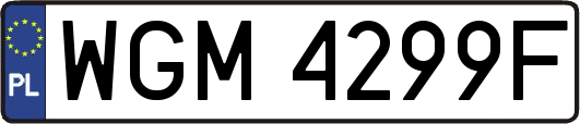 WGM4299F
