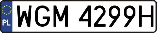 WGM4299H