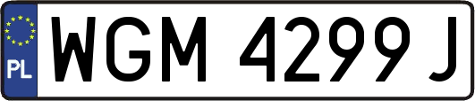 WGM4299J