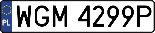 WGM4299P