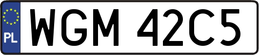 WGM42C5